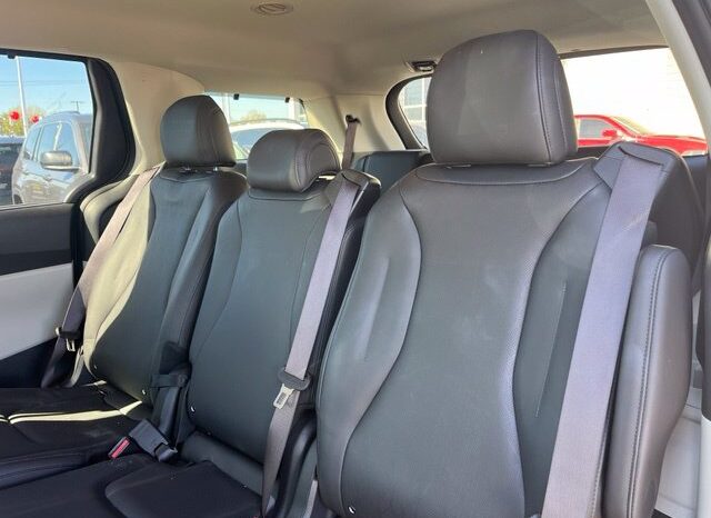 
								Kia Carnival full									