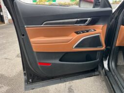 
										Kia Telluride full									