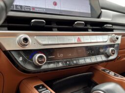 
										Kia Telluride full									