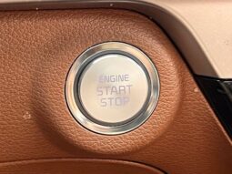 
										Kia Telluride full									