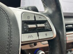 
										Kia Telluride full									