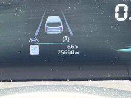 
										Kia Telluride full									