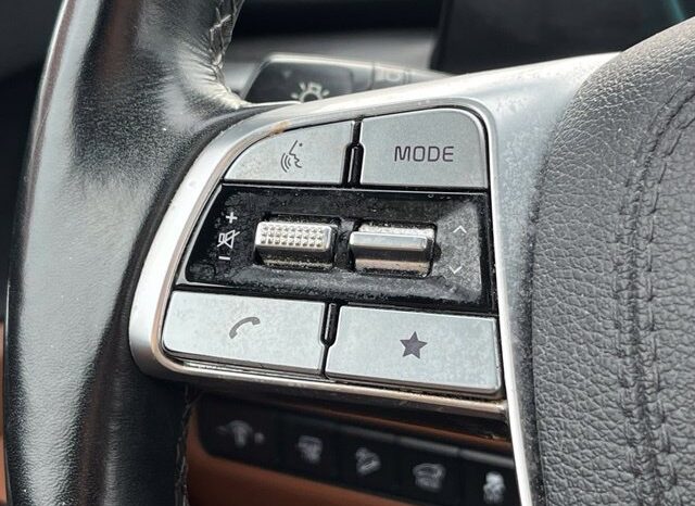 
								Kia Telluride full									