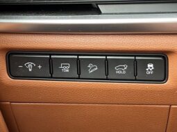 
										Kia Telluride full									
