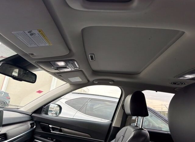 
								Kia Telluride full									