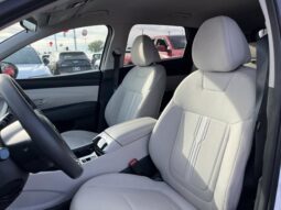 
										Hyundai Tucson full									