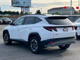 
										Hyundai Tucson full									