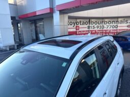 
										Toyota RAV4 Hybrid full									