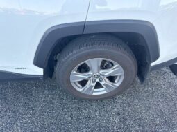 
										Toyota RAV4 Hybrid full									