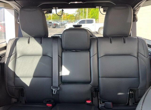 
								Jeep Wrangler full									