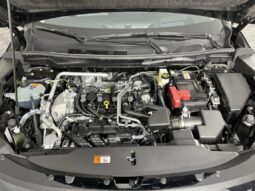 
										Mitsubishi Outlander full									