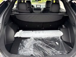 
										Mitsubishi Eclipse Cross full									
