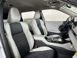 
										Mitsubishi Outlander full									