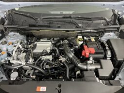 
										Mitsubishi Outlander full									