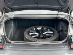 
										Dodge Challenger full									