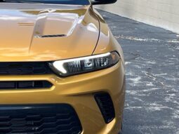 
										Dodge Hornet full									