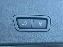 
										Dodge Hornet full									