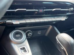 
										Dodge Hornet full									