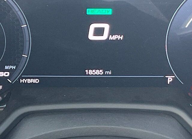 
								Dodge Hornet full									