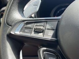 
										Dodge Hornet full									