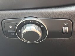 
										Dodge Hornet full									