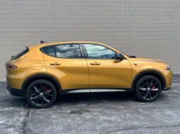 
										Dodge Hornet full									