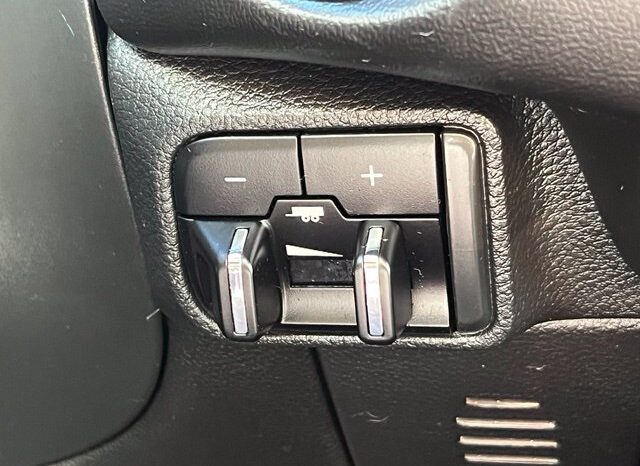 
								Dodge Durango full									