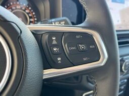 
										Jeep Wrangler full									