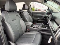 
										Kia Sorento full									