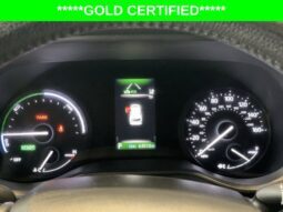 
										Toyota Sienna full									