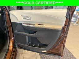
										Toyota Sienna full									