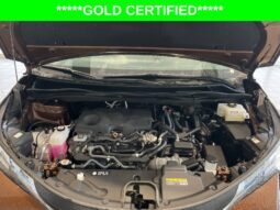 
										Toyota Sienna full									