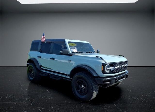 
								Ford Bronco full									