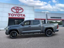 
										Toyota Tundra full									
