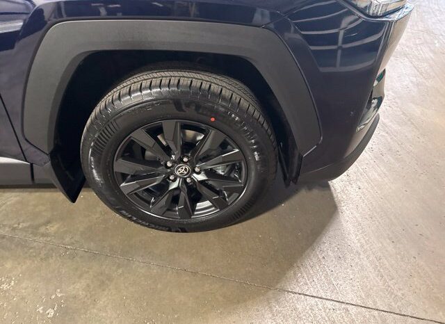 
								Toyota RAV4 full									