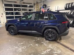 
										Toyota RAV4 full									