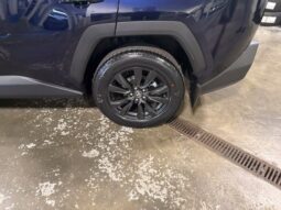 
										Toyota RAV4 full									