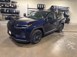 
										Toyota RAV4 full									