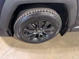 
										Toyota RAV4 full									