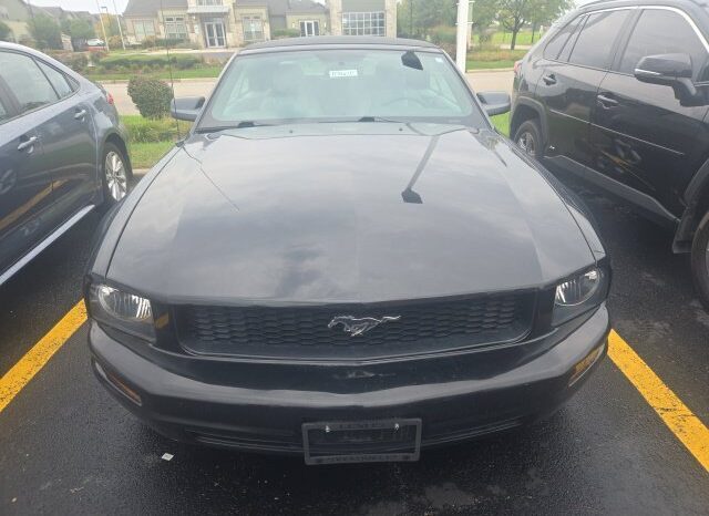 
								Ford Mustang full									