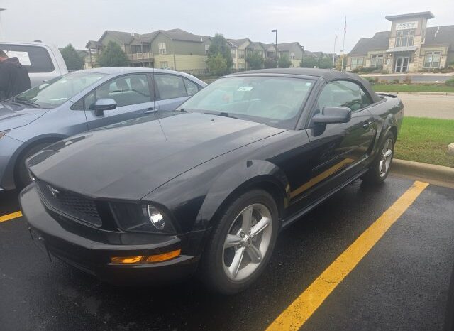 
								Ford Mustang full									