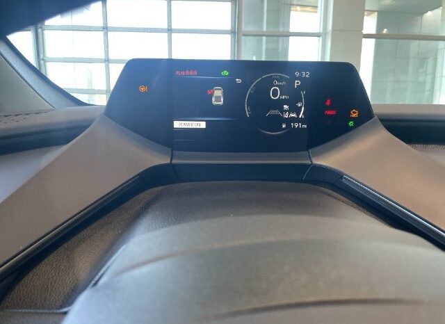 
								Toyota Prius full									