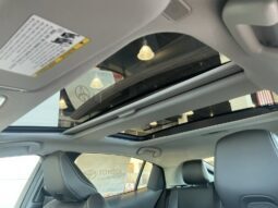 
										Toyota Prius full									