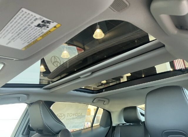
								Toyota Prius full									