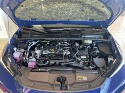 
										Toyota Prius full									