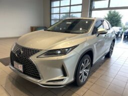 
										Lexus RX full									