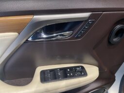 
										Lexus RX full									