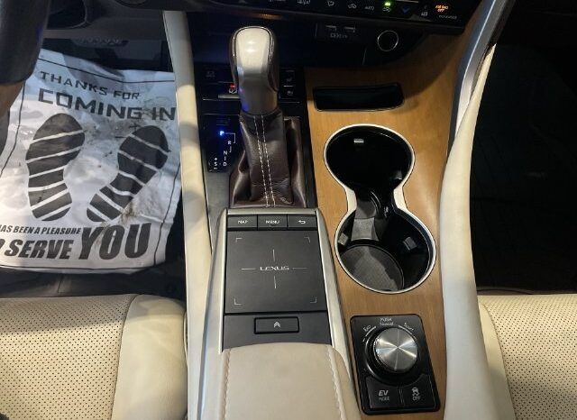 
								Lexus RX full									