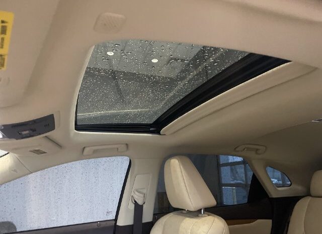 
								Lexus RX full									