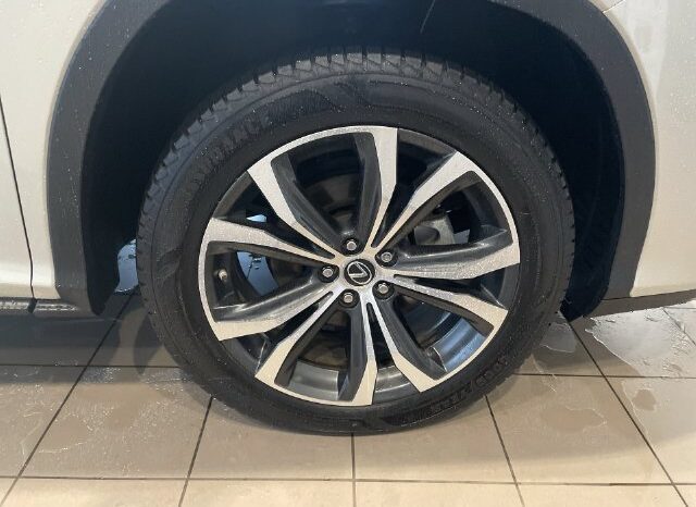 
								Lexus RX full									